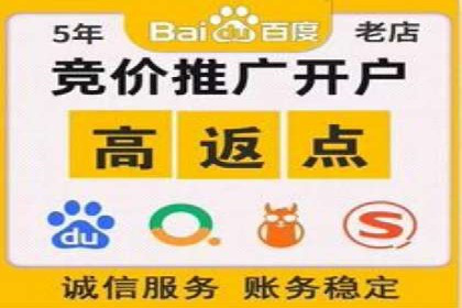 深入解析SEM账户竞价运营成功案例